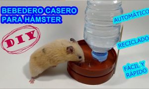 Como hacer un bebedero para hamsters casero